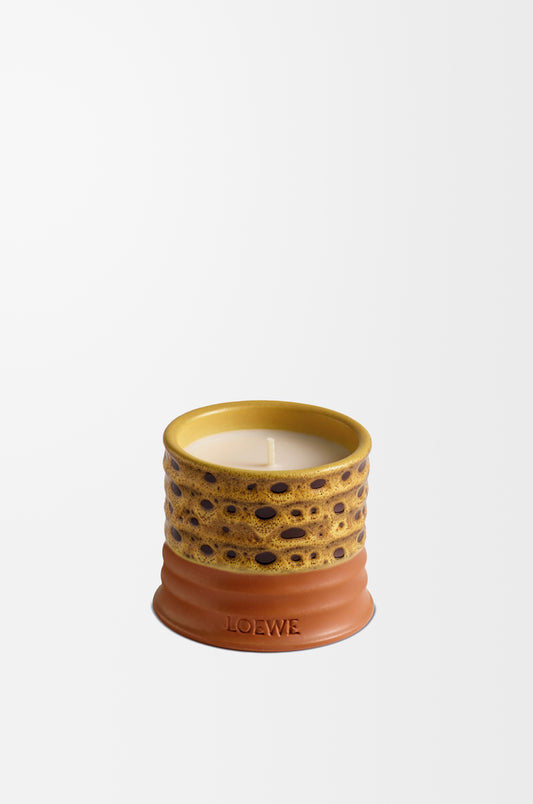 Loewe perfumed candle mimosa