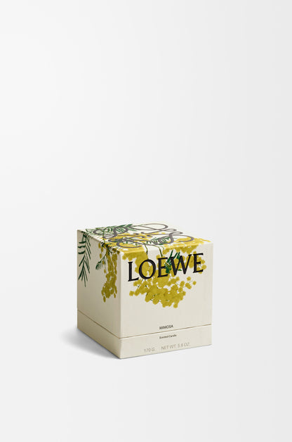 Loewe perfumed candle mimosa
